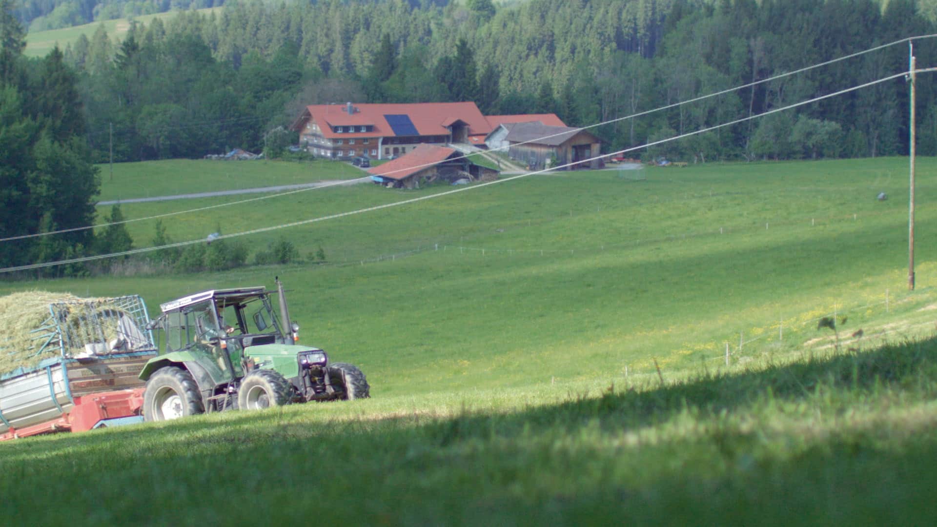 balancevorher digital production