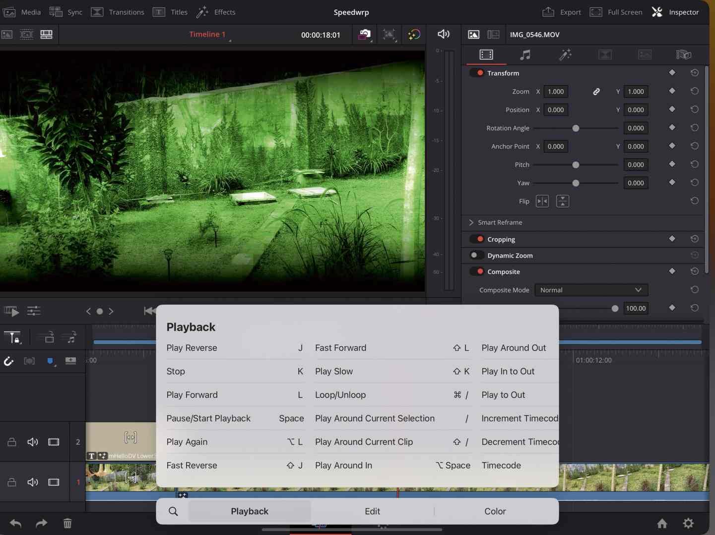 a user interface of video editing software showing a greentinted preview of a garden scene with a playback menu displaying options such as play pause and fast forward other editing tools are visible on the screen digital production A user interface of video editing software showing a green-tinted preview of a garden scene with a playback menu displaying options such as play, pause, and fast forward. Other editing tools are visible on the screen.