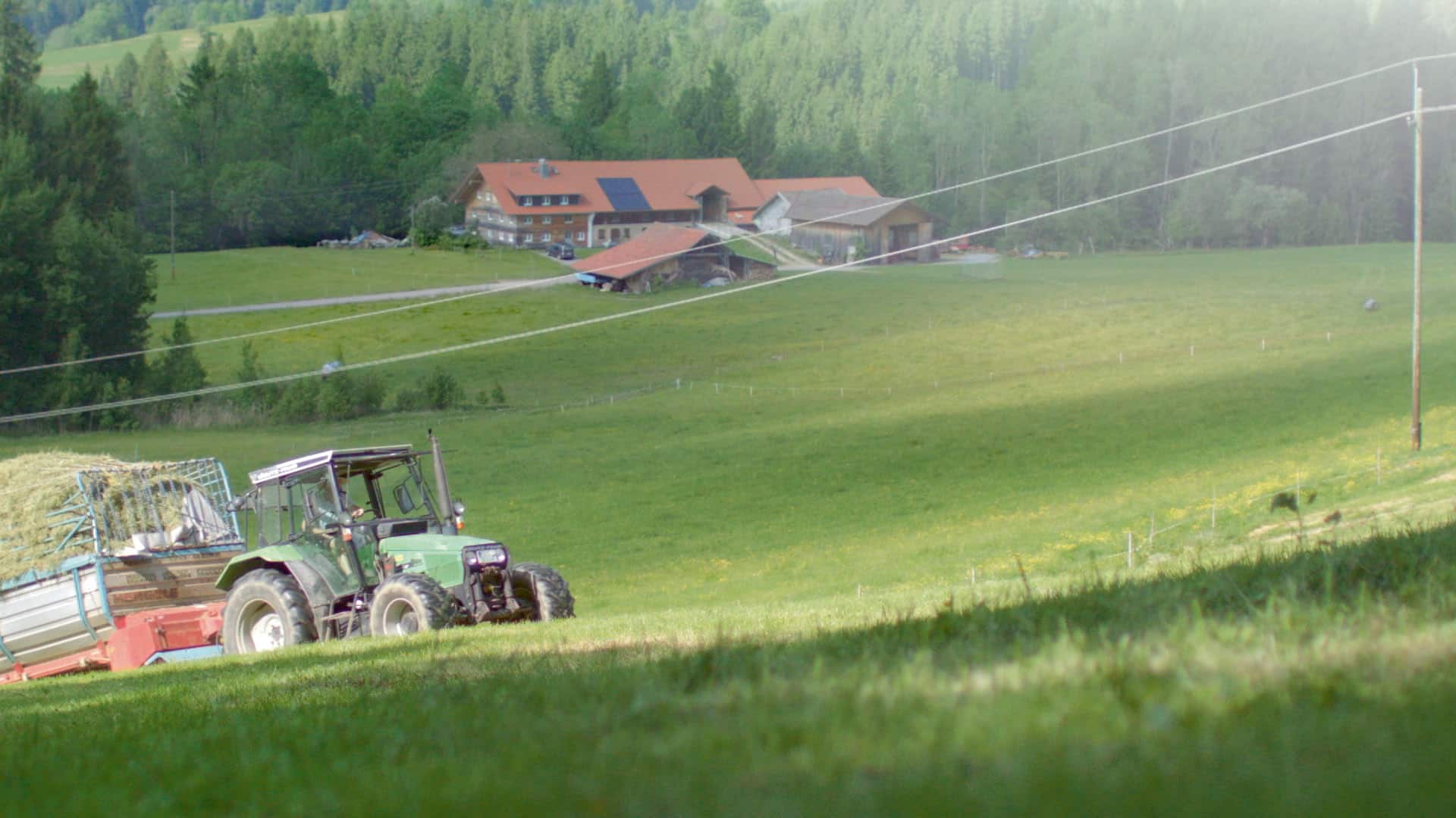 lightspotsnachher digital production