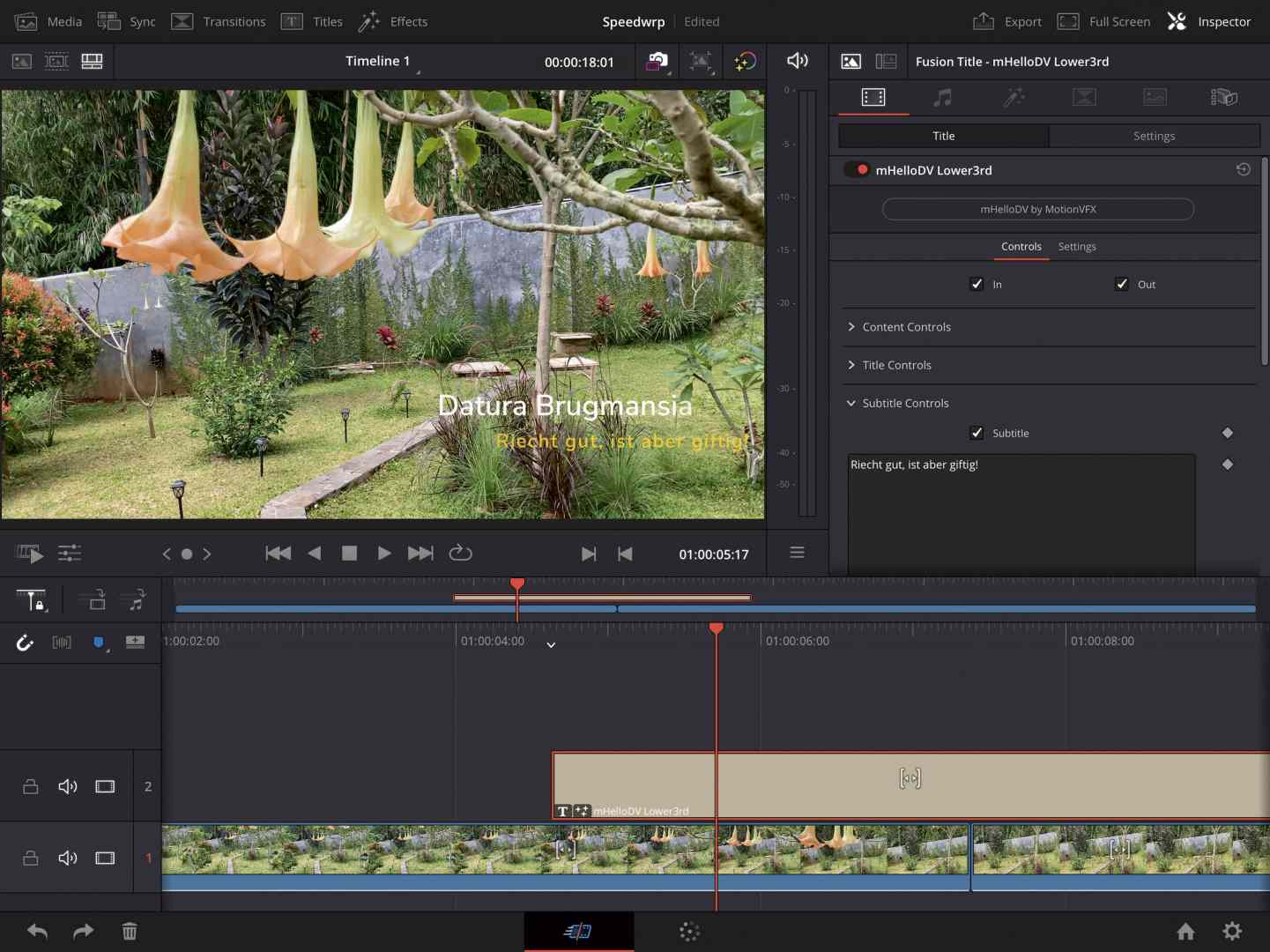 a video editing interface displaying a timeline with clip editing options in the foreground a garden scene featuring hanging datura brugmansia flowers is visible along with overlay text identifying the plant the editing panel is shown on the right side digital production A video editing interface displaying a timeline with clip editing options. In the foreground, a garden scene featuring hanging Datura Brugmansia flowers is visible, along with overlay text identifying the plant. The editing panel is shown on the right side.