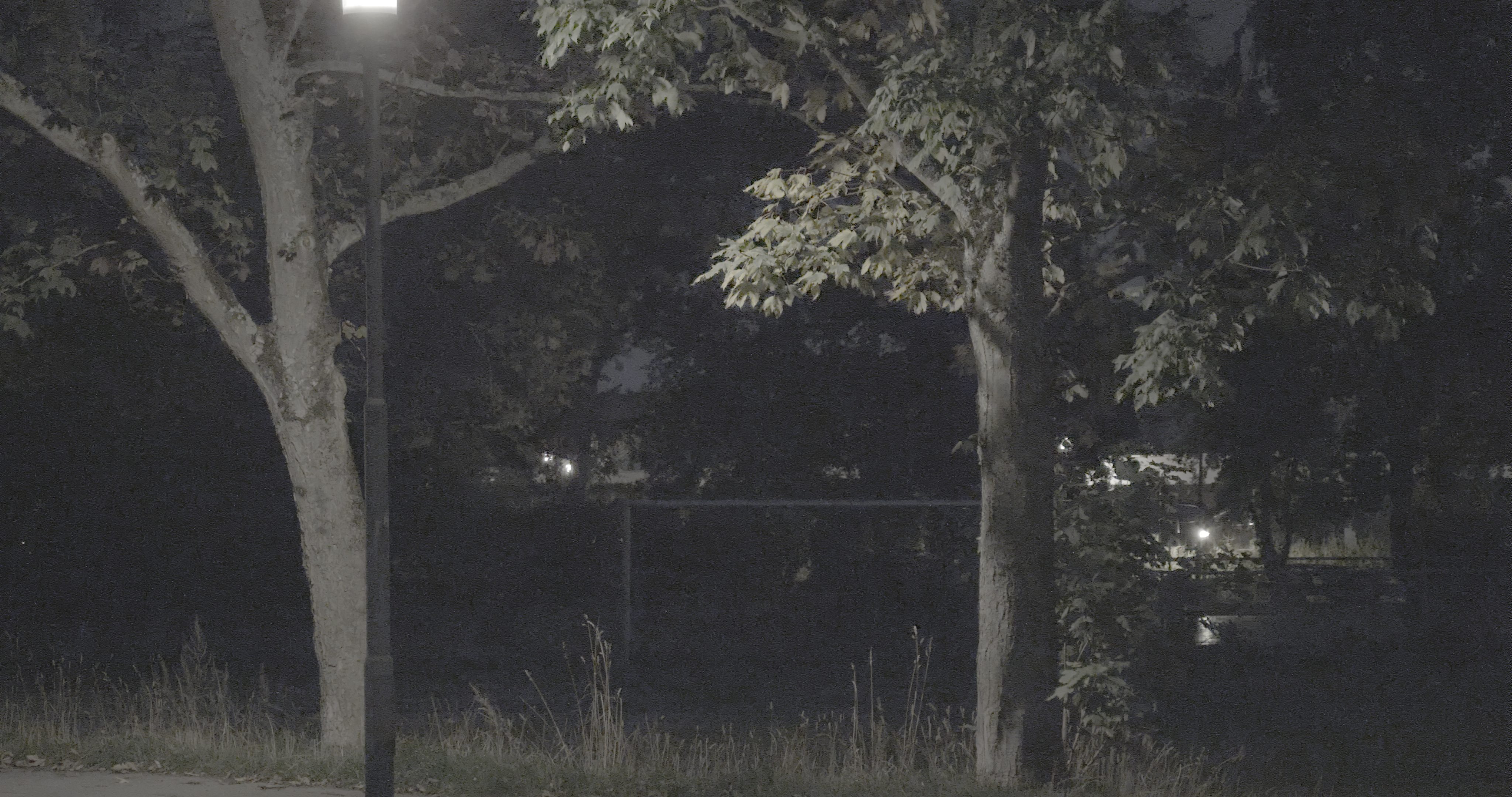 night scene featuring two trees silhouetted against a dark background illuminated by a street lamp soft shadows fall on the ground and faint light glimmers in the distance suggesting a tranquil park setting digital production Night scene featuring two trees silhouetted against a dark background, illuminated by a street lamp. Soft shadows fall on the ground, and faint light glimmers in the distance, suggesting a tranquil park setting.