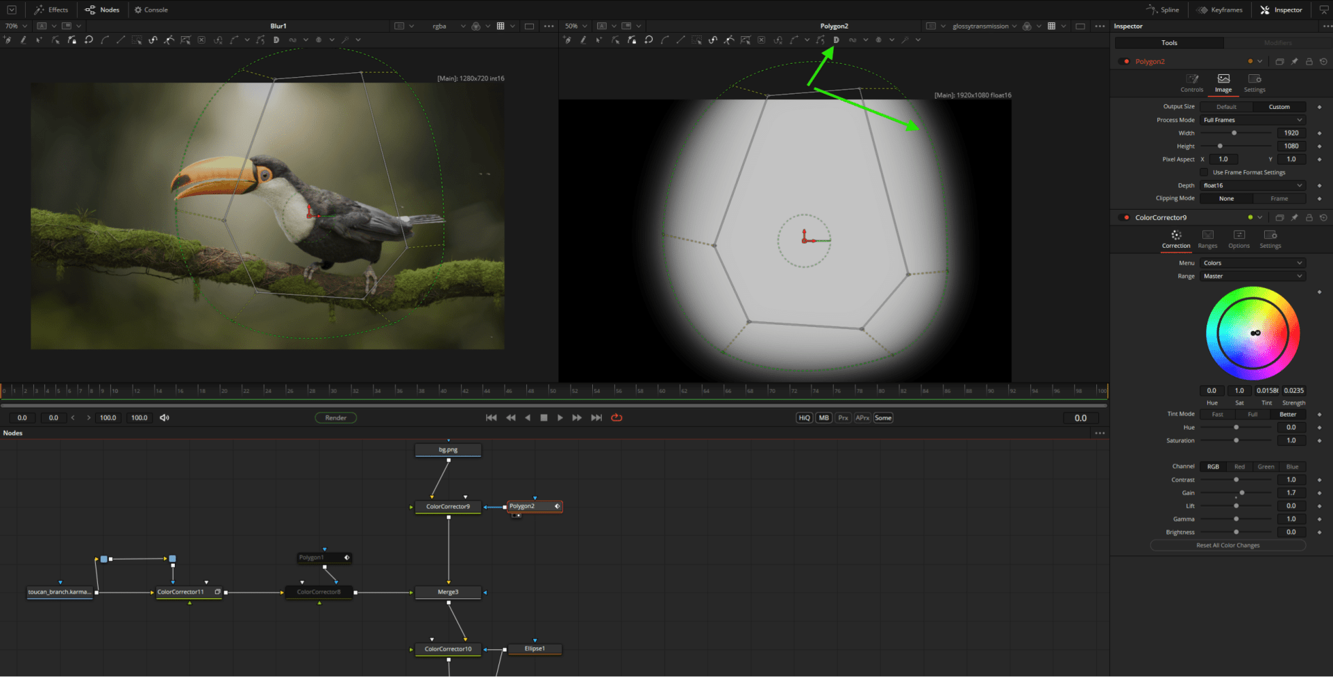 a digital workspace showing a toucan on a branch and graphical editing tools digital production A digital workspace showing a toucan on a branch and graphical editing tools.