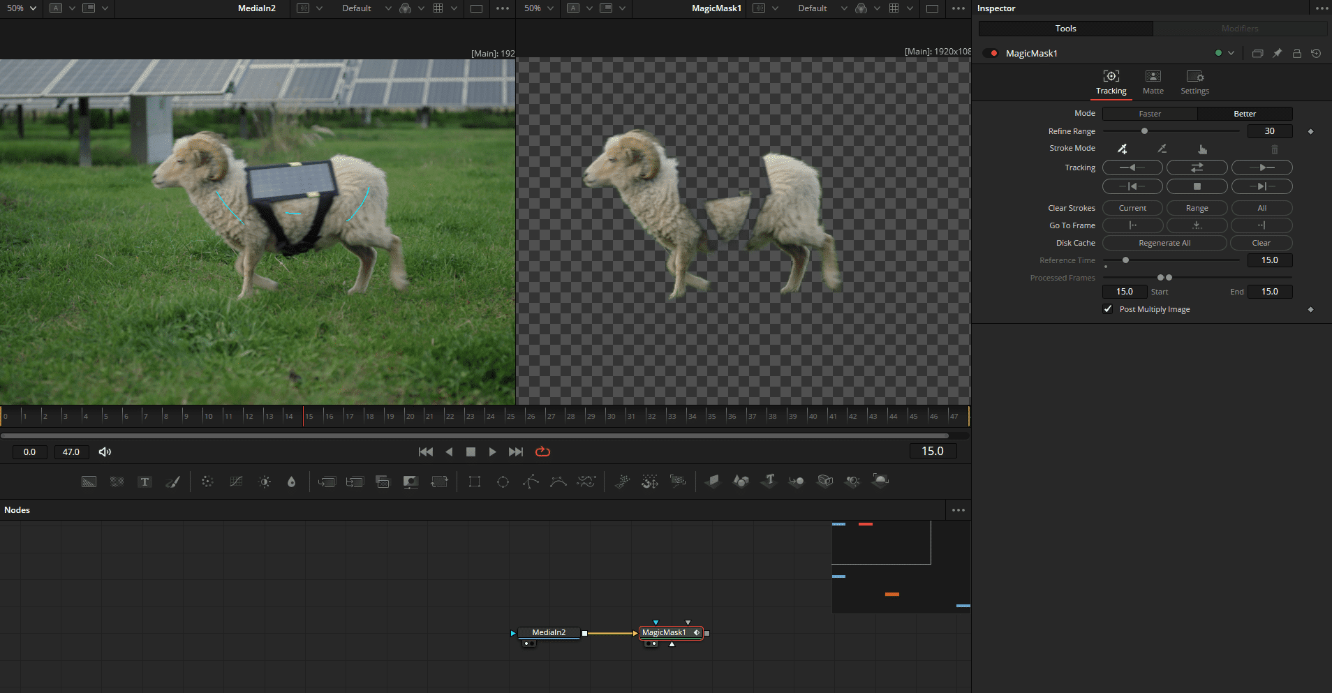 a sheep wearing a device on its back in a grassy field with a video editing software interface displayed on the right digital production A sheep wearing a device on its back in a grassy field, with a video editing software interface displayed on the right.