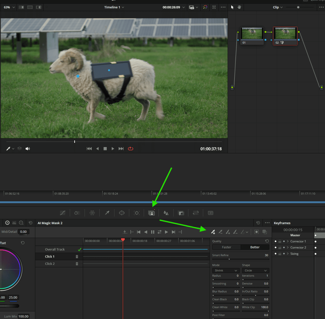a sheep wearing a harness in video editing software interface digital production A sheep wearing a harness in video editing software interface.