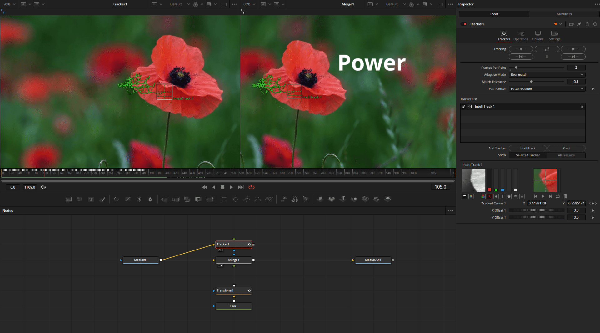 red poppy flowers with the word power overlayed on one side digital production Red poppy flowers with the word 'Power' overlayed on one side.