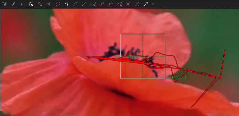 closeup of a red flower with black center petals digital production Close-up of a red flower with black center petals.