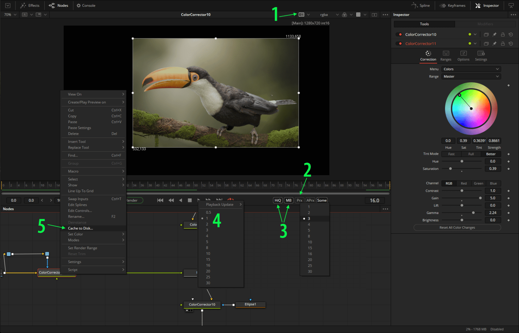 editing software interface with a toucan image and color adjustment tools digital production Editing software interface with a toucan image and color adjustment tools.