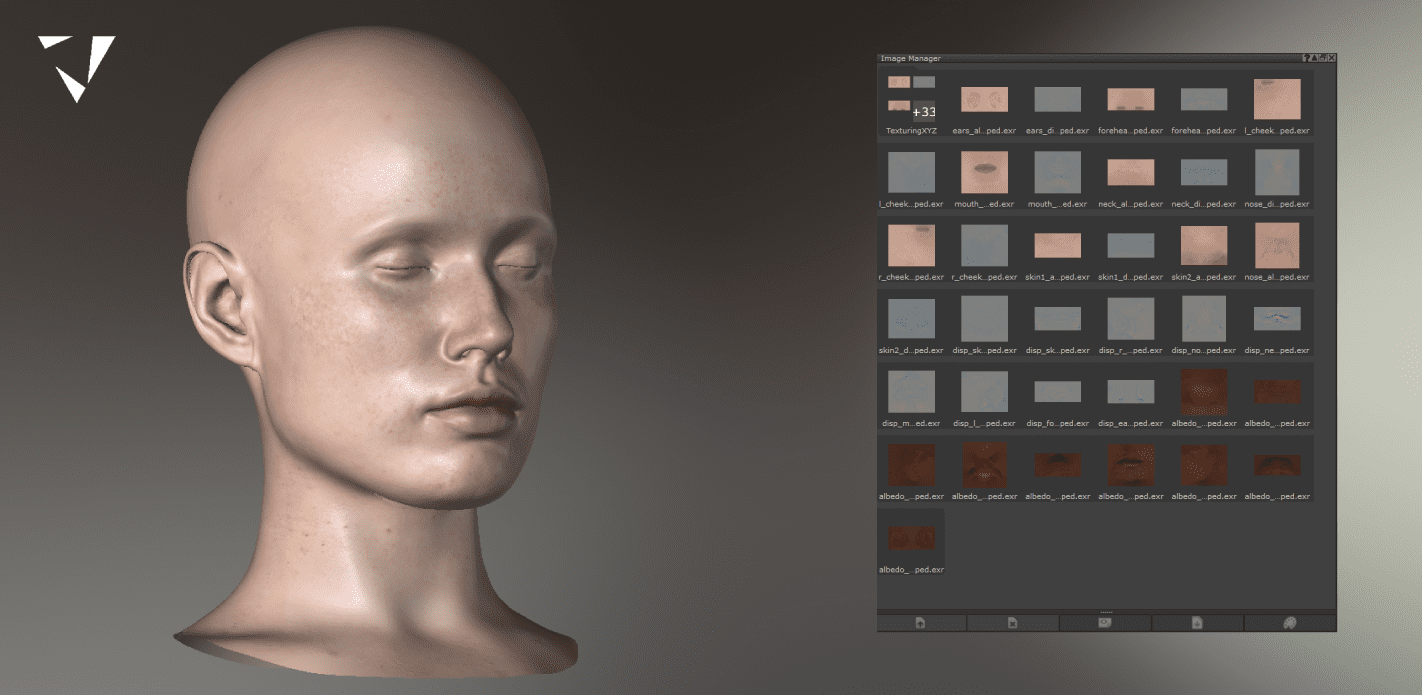 a realistic 3d sculpted head model with smooth skin texture displayed against a gradient background on the right side a software interface shows a selection of skin textures with various samples and thumbnails digital production A realistic 3D sculpted head model with smooth skin texture displayed against a gradient background. On the right side, a software interface shows a selection of skin textures with various samples and thumbnails.