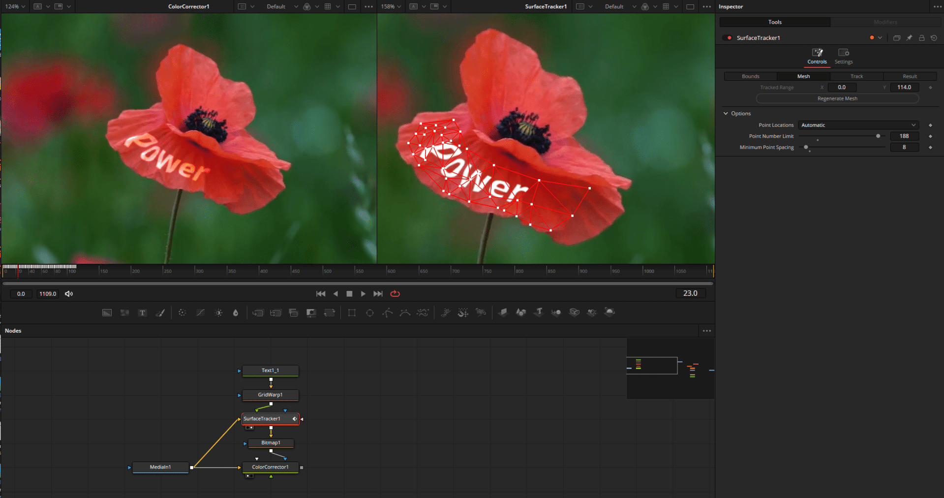 a red poppy flower with the word power overlayed in sparkling text digital production A red poppy flower with the word 'Power' overlayed in sparkling text.