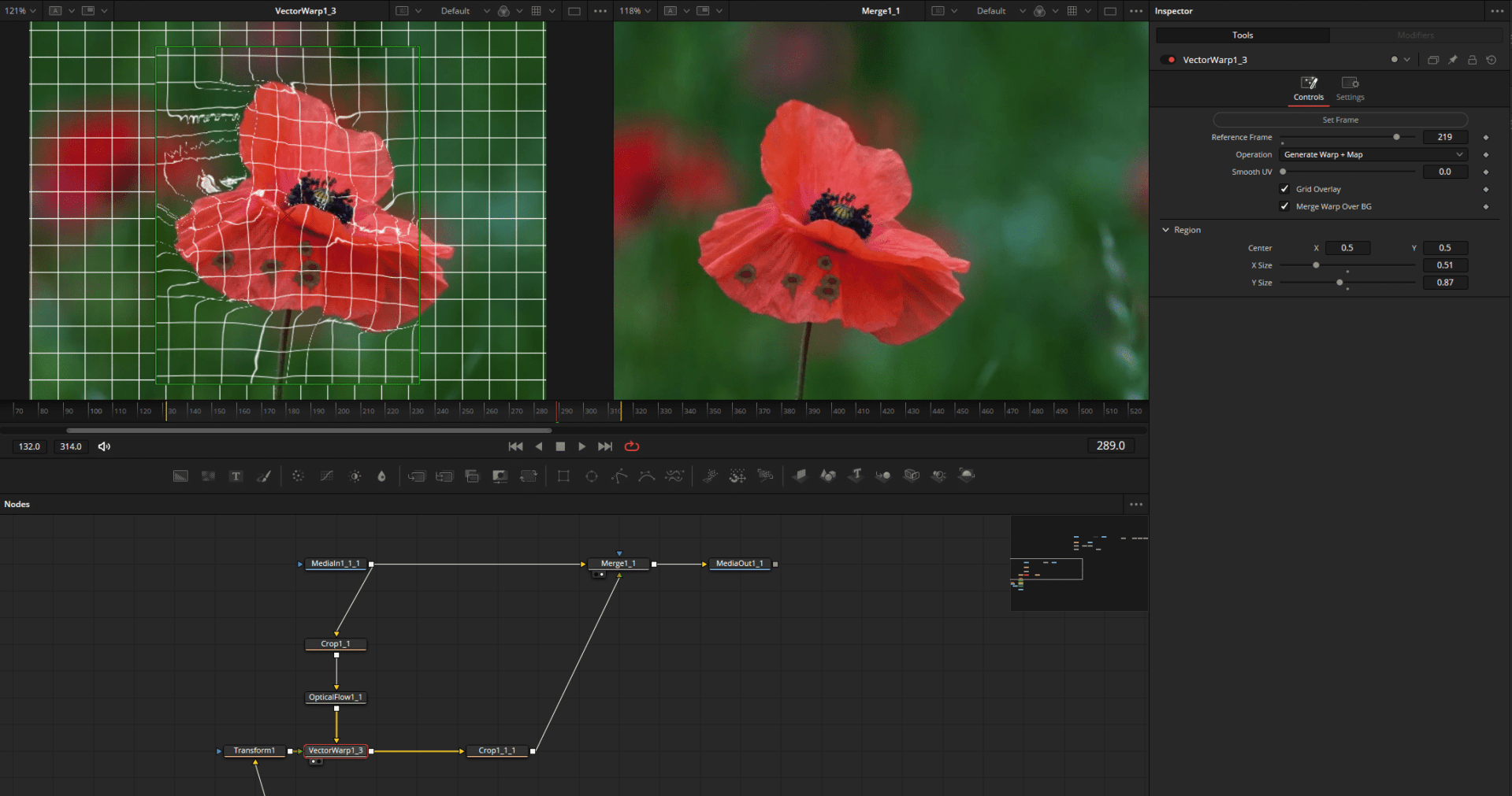 editing software interface displaying a red poppy flower image digital production Editing software interface displaying a red poppy flower image