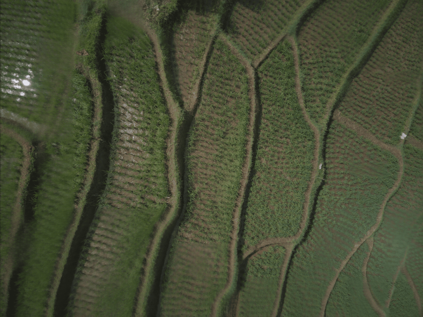 zeitlupeartefakt digital production